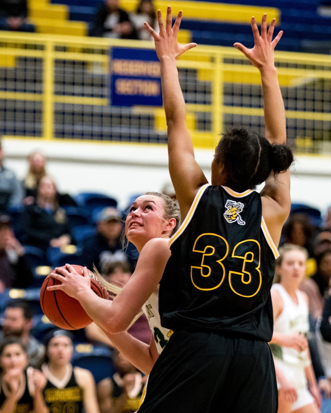 Rocky Mountain College vs. MSU Billings